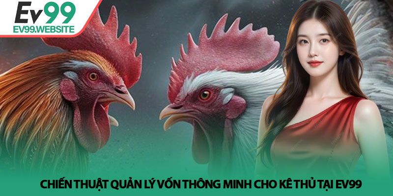 Chiến thuật quản lý vốn thông minh cho kê thủ tại Ev99