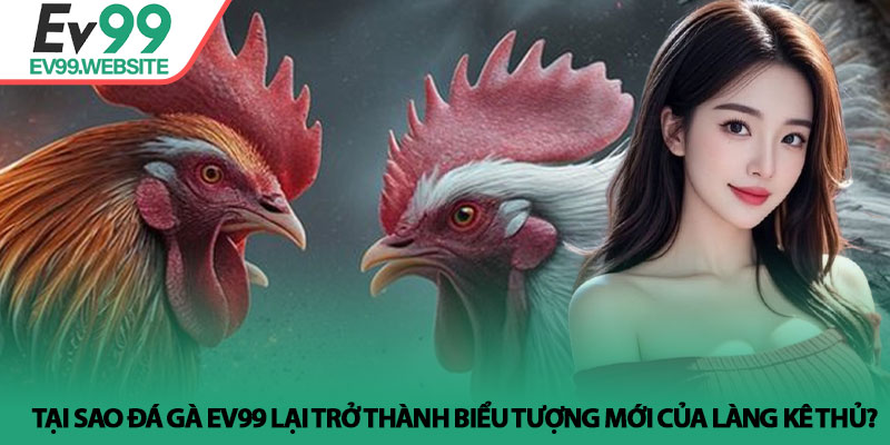 Tại sao Đá gà Ev99 lại trở thành biểu tượng mới của làng kê thủ?